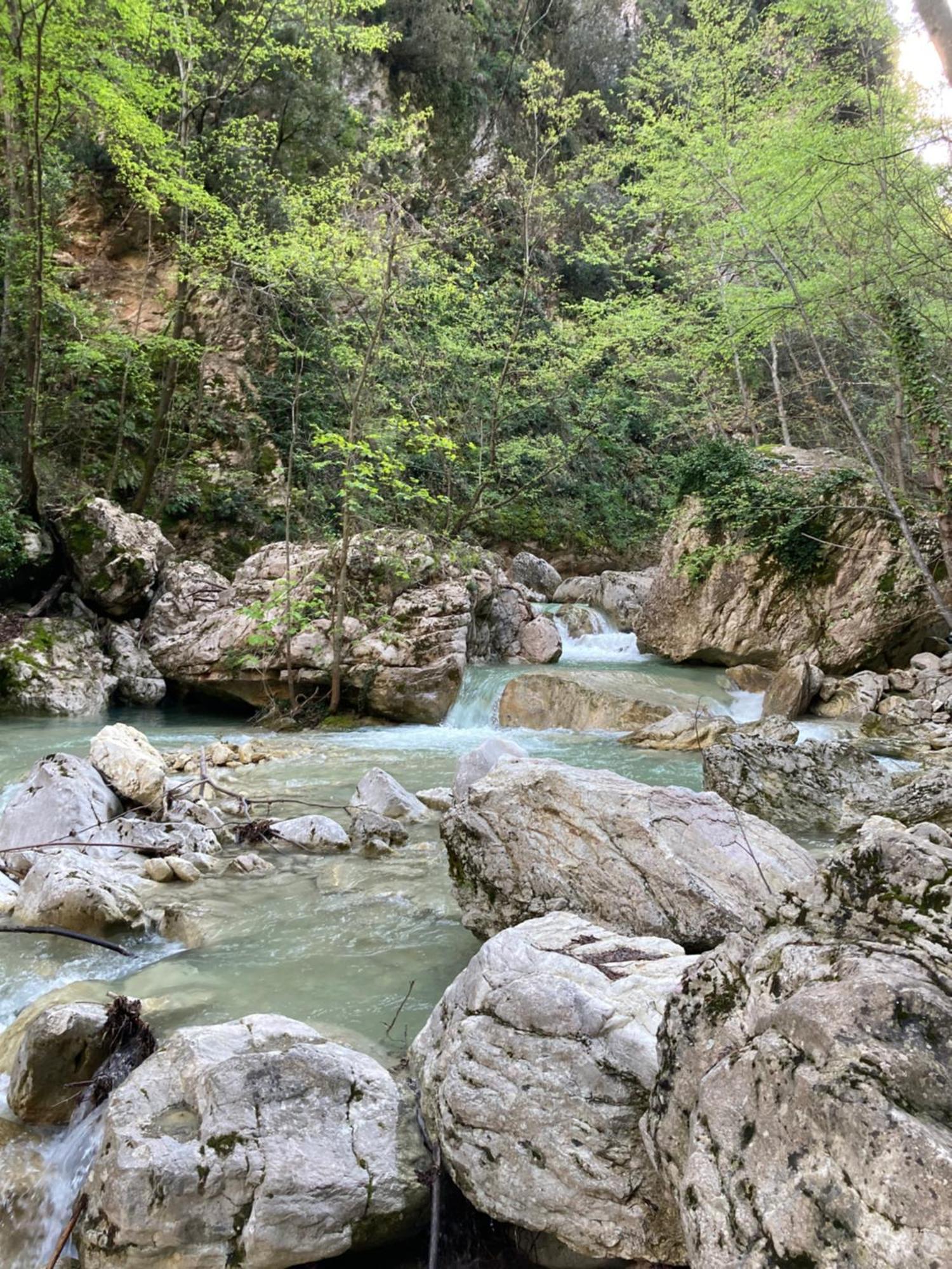 Salinello Beer Baita Affittacamere Le Ripe Buitenkant foto